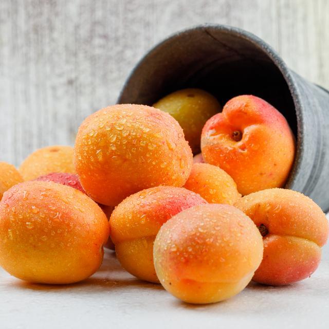 apricots