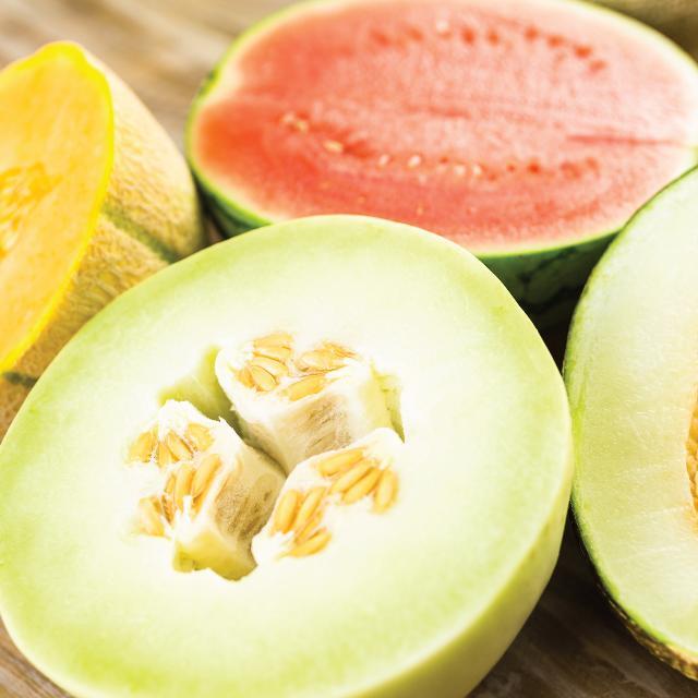 melon