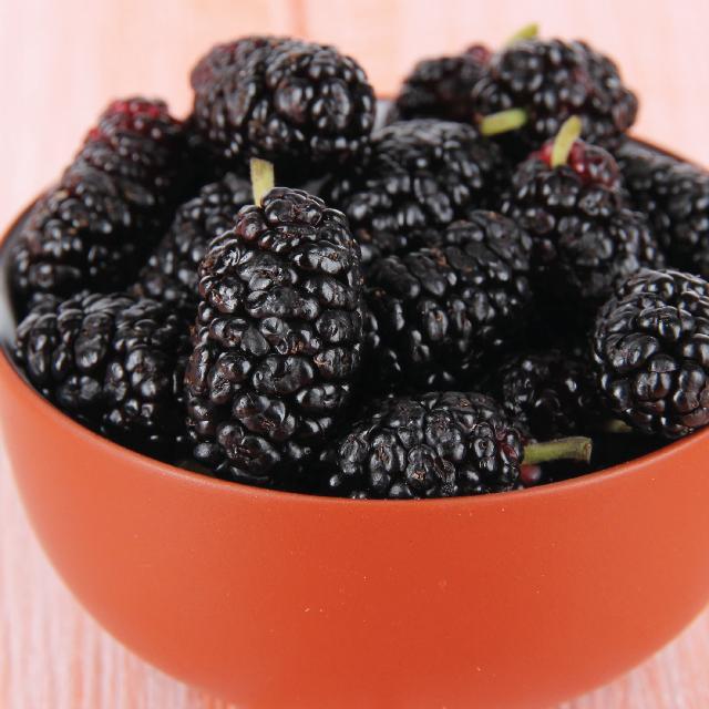 mulberries