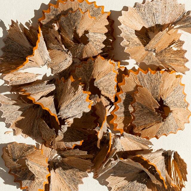 pencil shavings