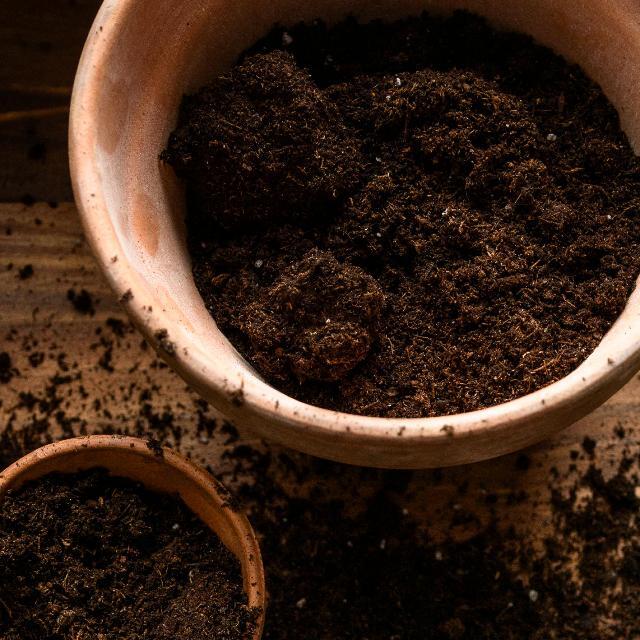 potting soil