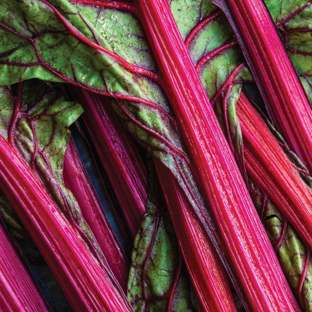 rhubarb