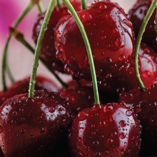 sour cherry