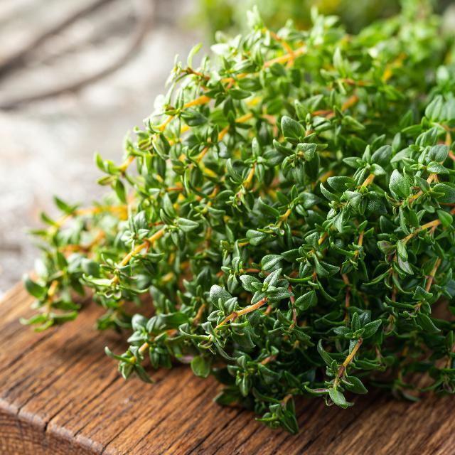 thyme