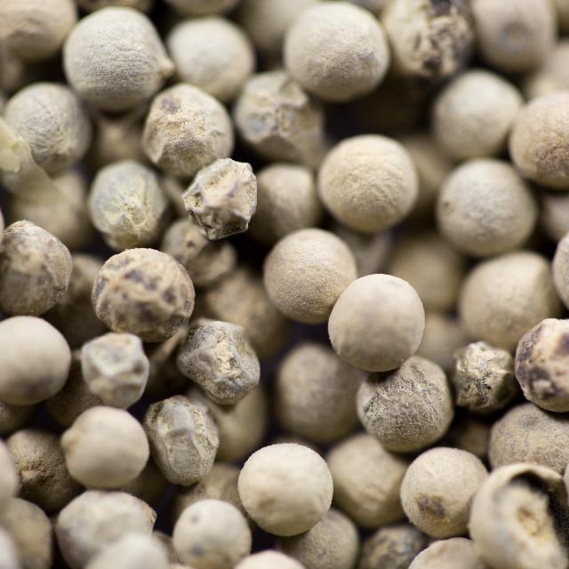 white peppercorns